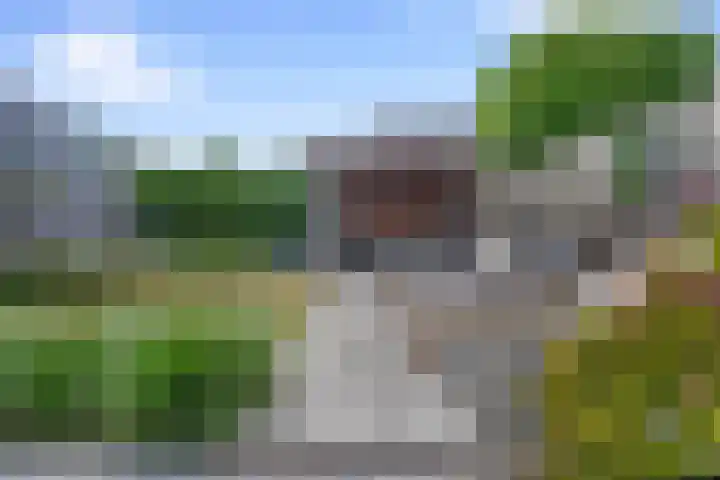 Nieuw Erve 1 Grijpskerke foto 3
