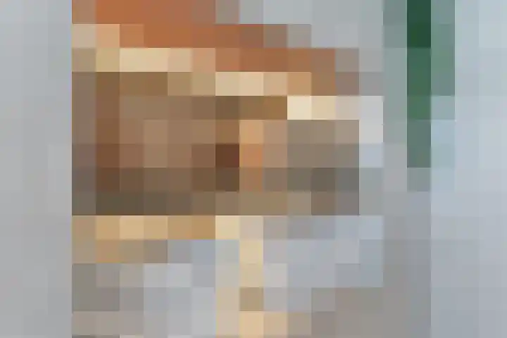 Nieuw Erve 1 Grijpskerke thumbnail 31