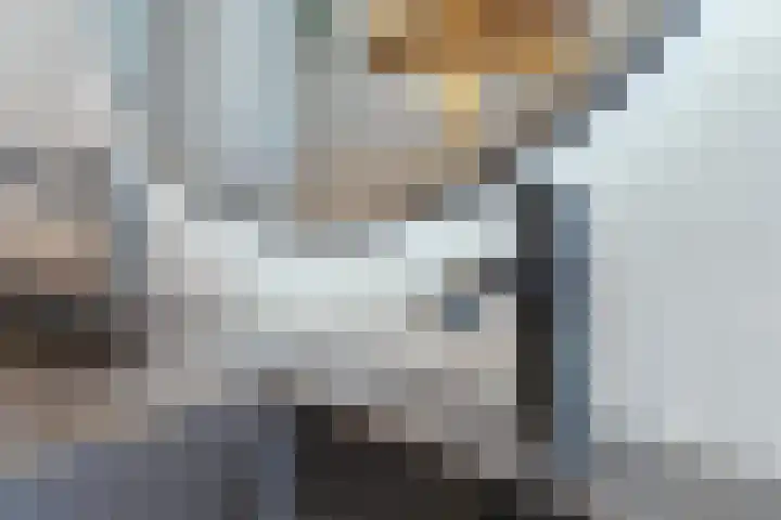 Nieuw Erve 1 Grijpskerke thumbnail 32