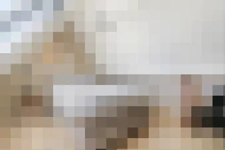 Nieuw Erve 1 Grijpskerke thumbnail 35