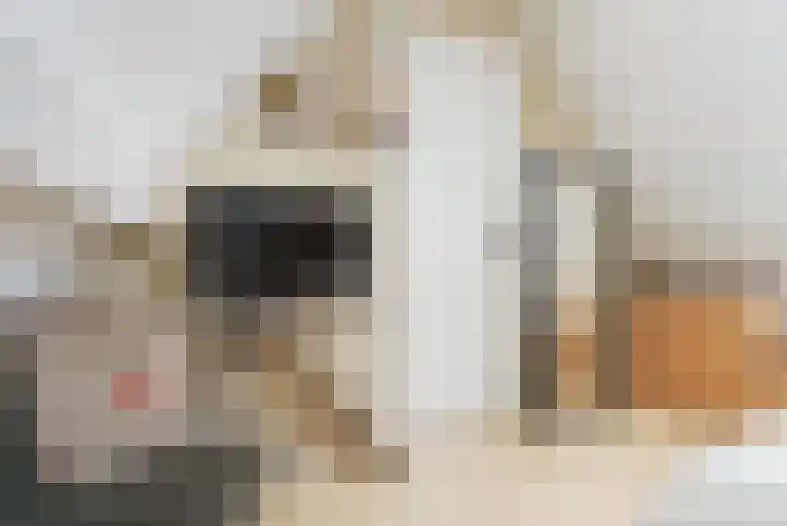 Nieuw Erve 1 Grijpskerke thumbnail 37