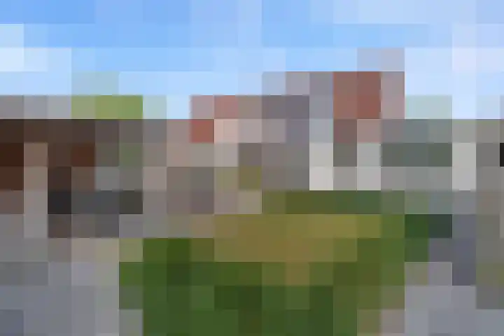 Nieuw Erve 1 Grijpskerke thumbnail 41