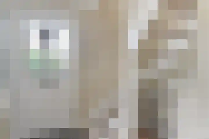 Nieuw Erve 1 Grijpskerke thumbnail 5