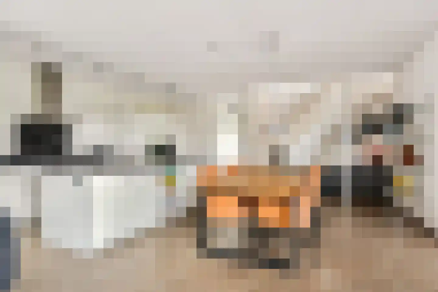 Nieuw-Guineastraat 23 Zwolle thumbnail 14