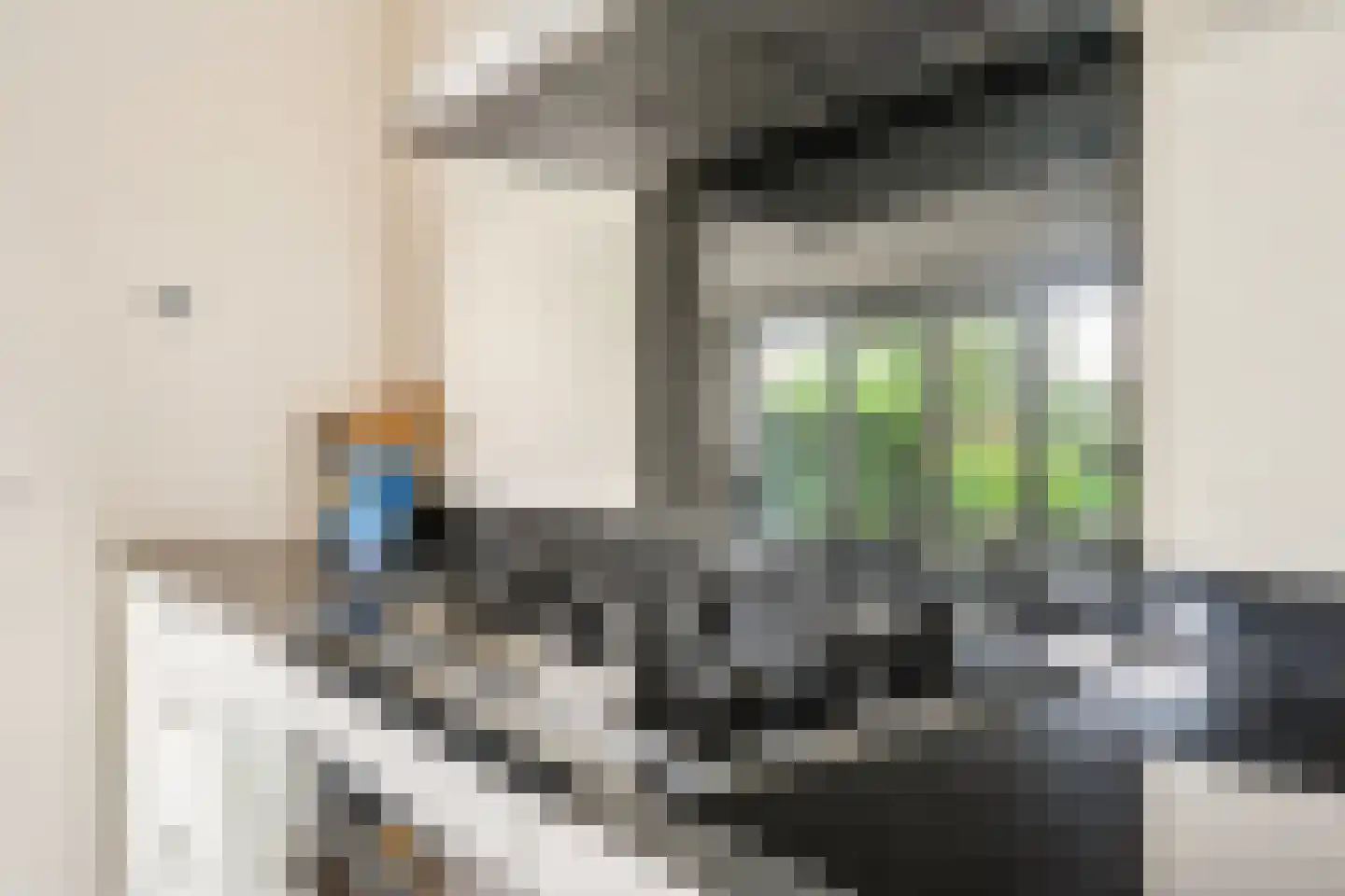 Nieuw-Guineastraat 23 Zwolle thumbnail 17
