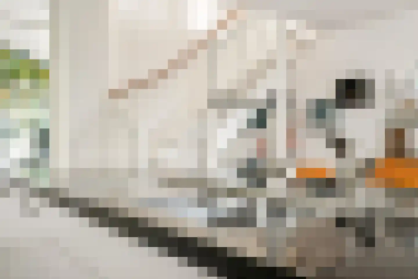 Nieuw-Guineastraat 23 Zwolle thumbnail 18