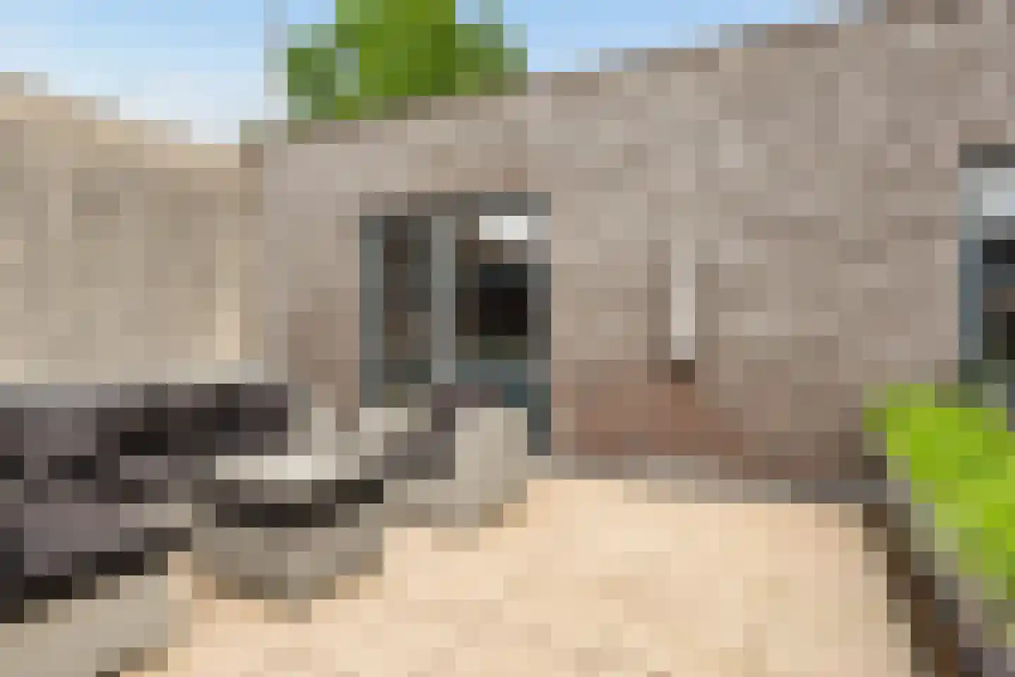 Nieuw-Guineastraat 23 Zwolle thumbnail 35