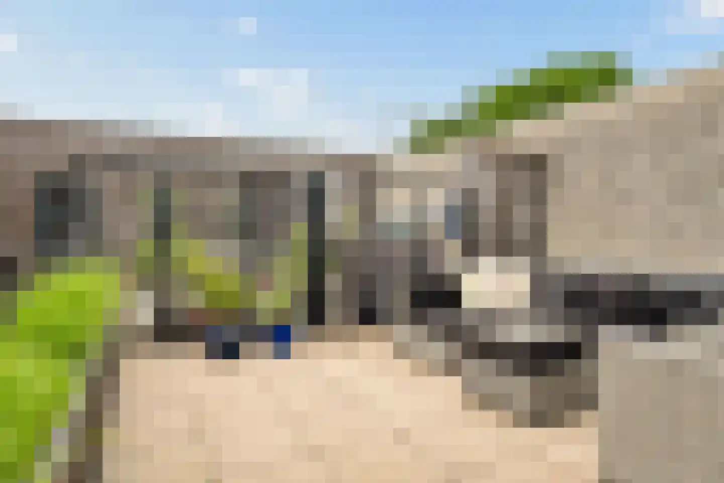 Nieuw-Guineastraat 23 Zwolle thumbnail 37