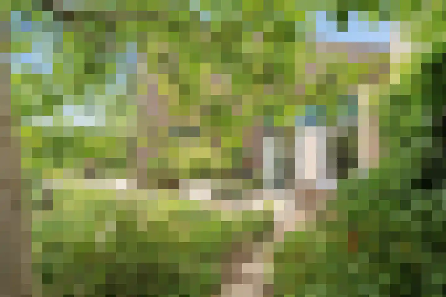 Nieuw-Guineastraat 23 Zwolle thumbnail 40