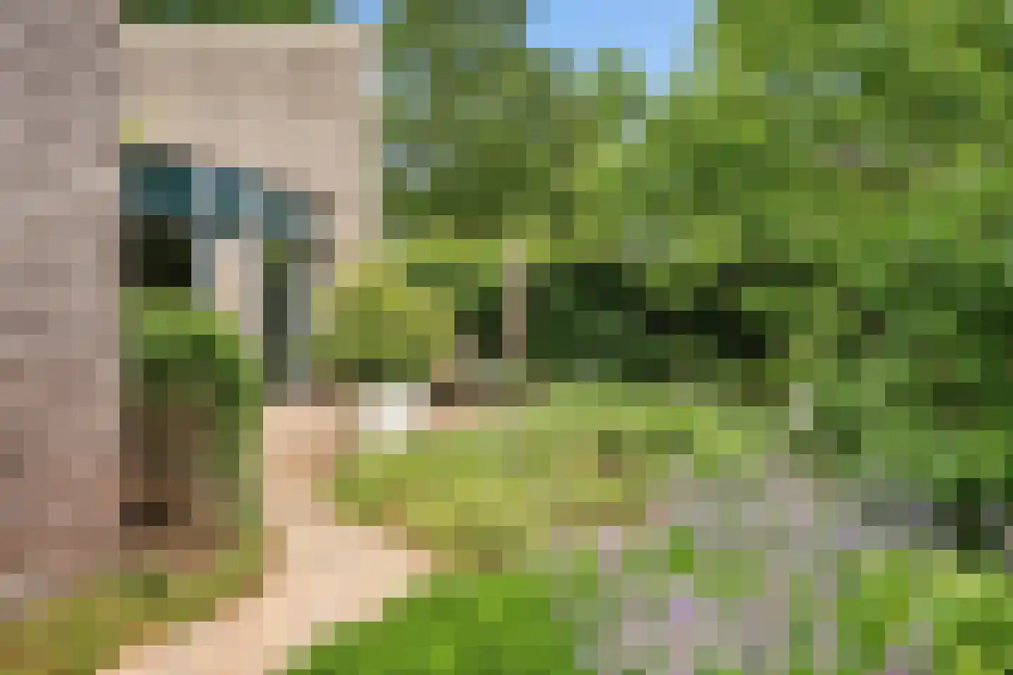 Nieuw-Guineastraat 23 Zwolle thumbnail 41