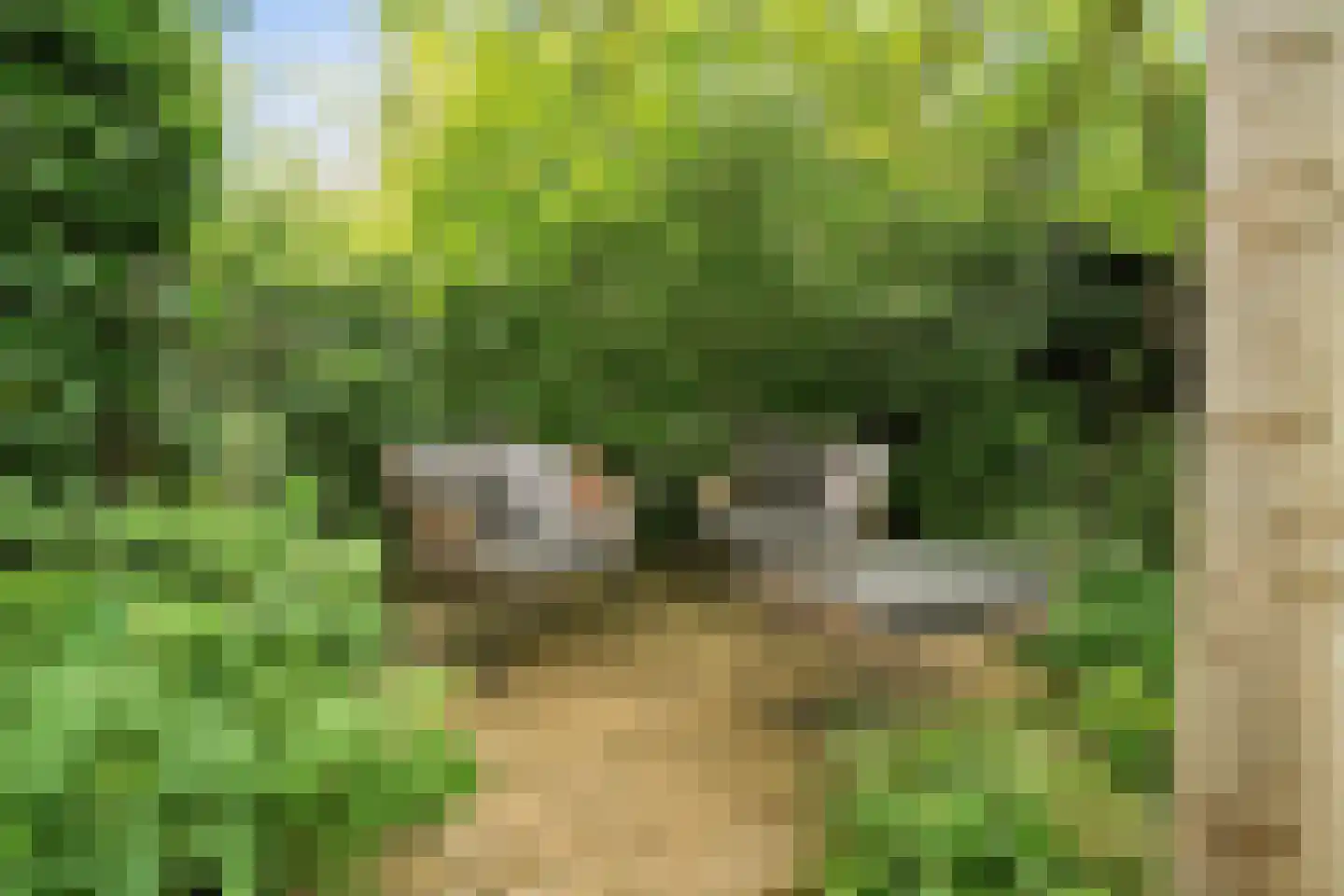Nieuw-Guineastraat 23 Zwolle thumbnail 44