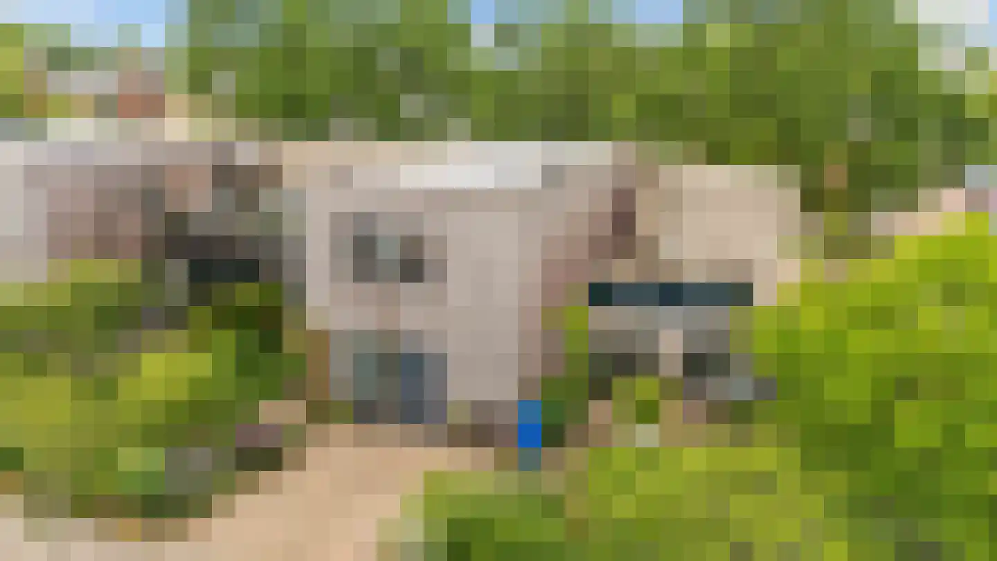 Nieuw-Guineastraat 23 Zwolle thumbnail 52