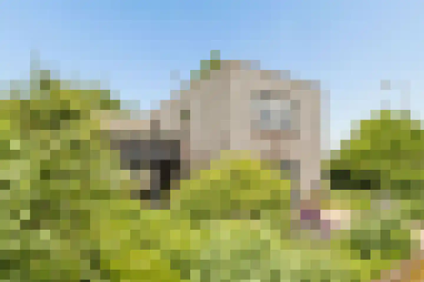 Nieuw-Guineastraat 23 Zwolle thumbnail 53