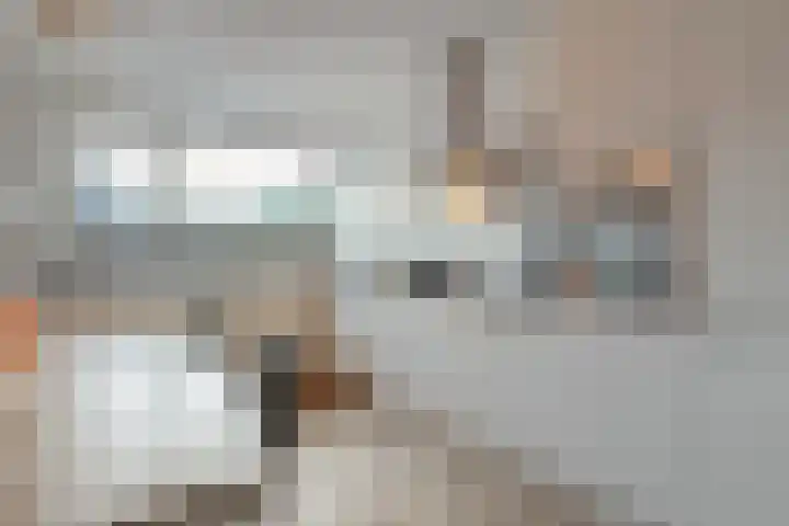 Nieuw-Guineastraat 6 Zwolle thumbnail 11