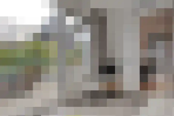 Nieuw-Guineastraat 6 Zwolle thumbnail 16
