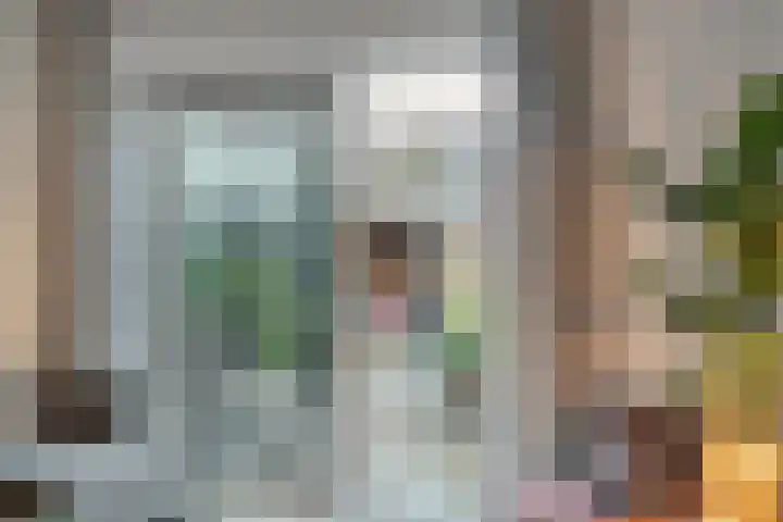 Nieuw-Guineastraat 6 Zwolle thumbnail 18