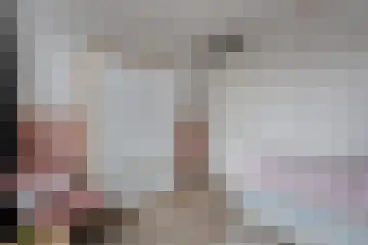 Nieuw-Guineastraat 6 Zwolle thumbnail 23