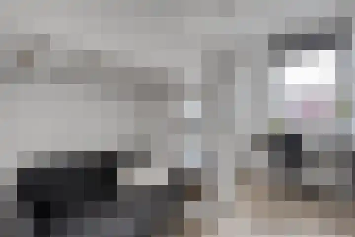 Nieuw-Guineastraat 6 Zwolle thumbnail 26