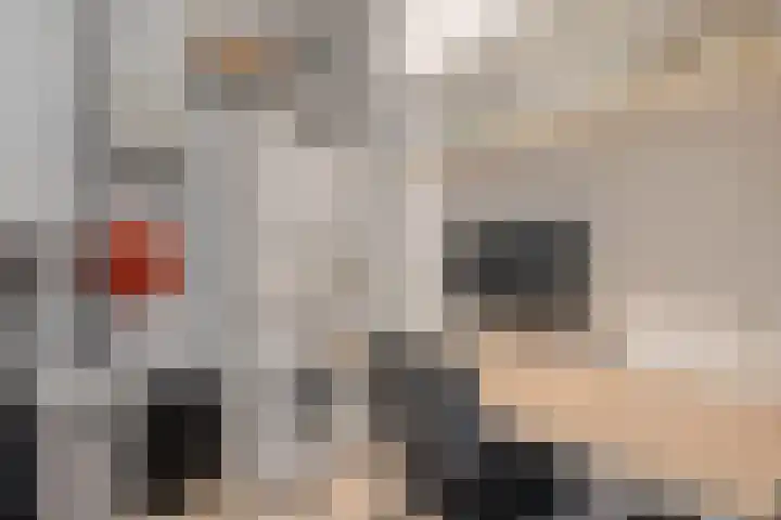 Nieuw-Guineastraat 6 Zwolle thumbnail 30