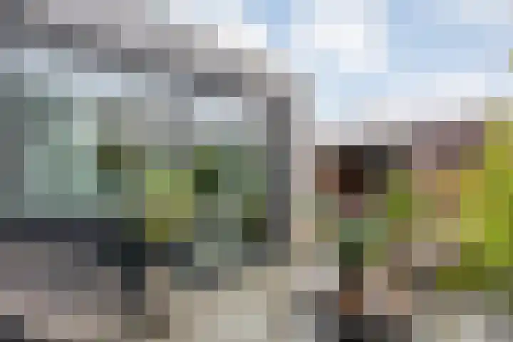 Nieuw-Guineastraat 6 Zwolle thumbnail 31
