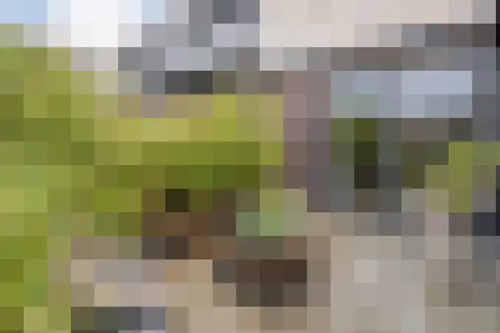 Nieuw-Guineastraat 6 Zwolle thumbnail 33