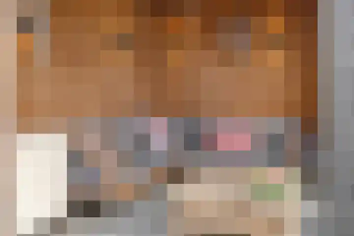 Nieuw-Guineastraat 6 Zwolle thumbnail 34