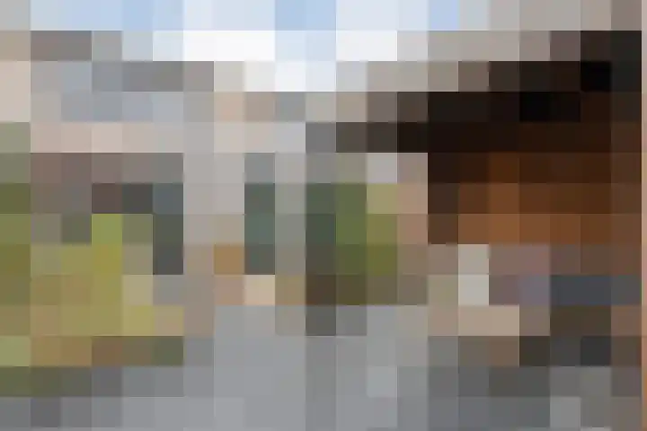 Nieuw-Guineastraat 6 Zwolle thumbnail 36