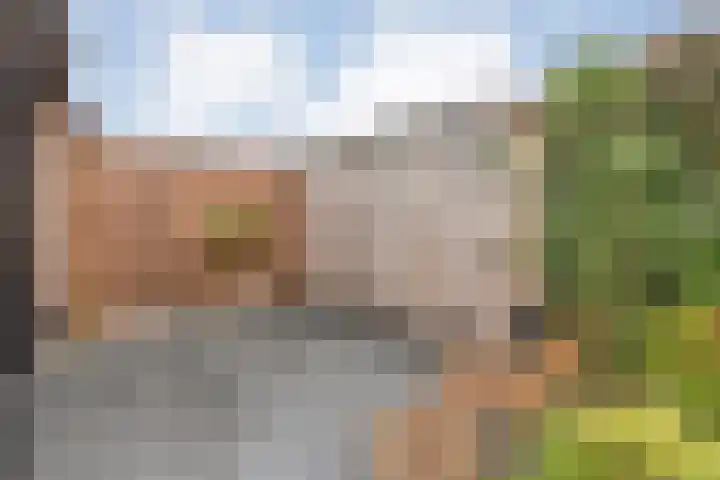 Nieuw-Guineastraat 6 Zwolle thumbnail 37