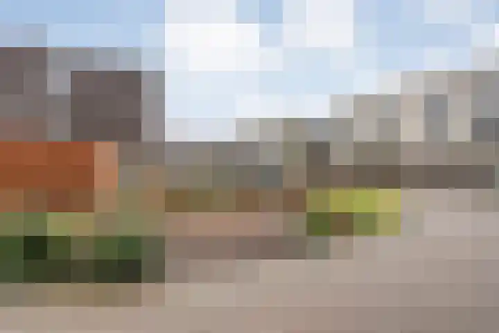 Nieuw-Guineastraat 6 Zwolle thumbnail 38