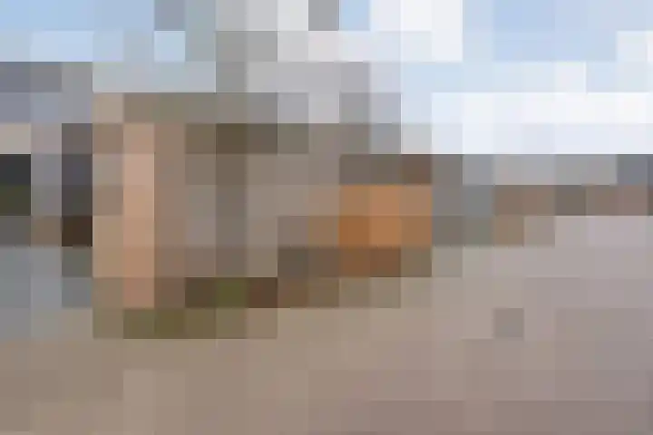 Nieuw-Guineastraat 6 Zwolle thumbnail 39