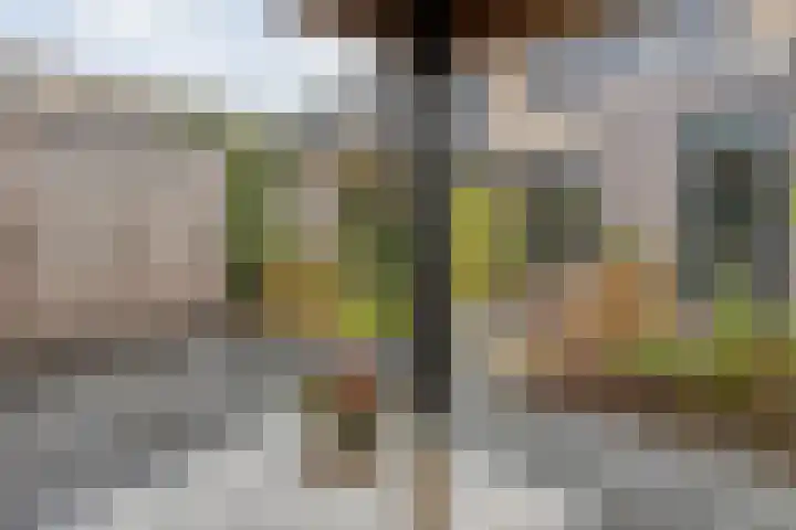 Nieuw-Guineastraat 6 Zwolle thumbnail 41