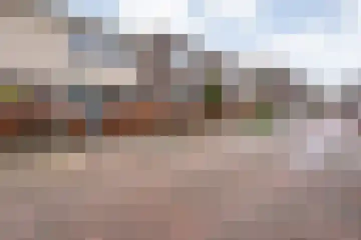Nieuw-Guineastraat 6 Zwolle thumbnail 42