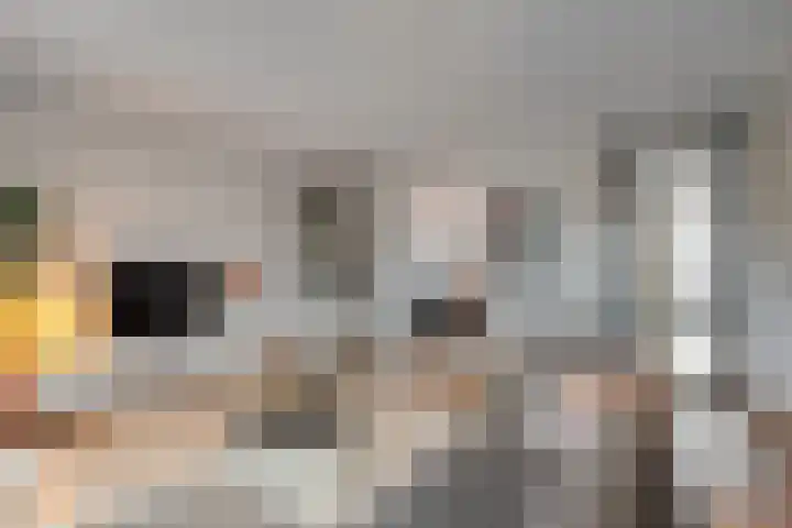 Nieuw-Guineastraat 6 Zwolle thumbnail 8