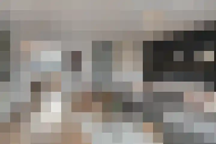 Nieuw-Guineastraat 6 Zwolle thumbnail 9