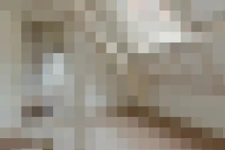 Nieuw Heiligland 15 Haarlem thumbnail 10