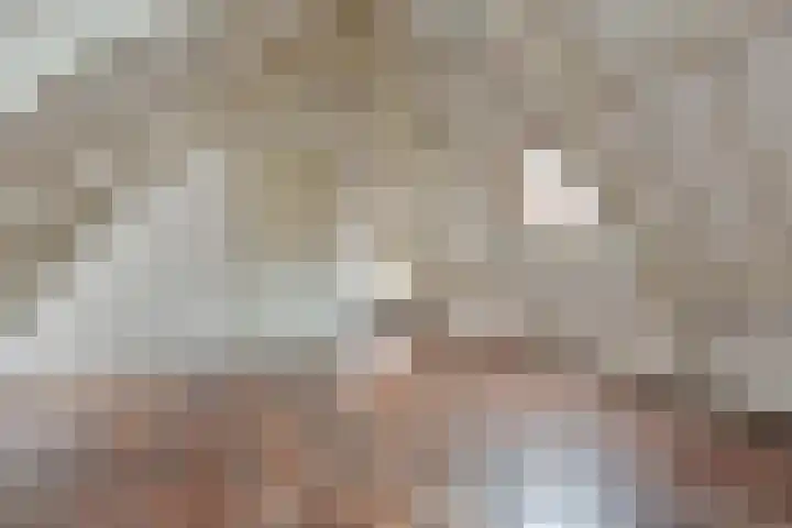 Nieuw Heiligland 15 Haarlem thumbnail 14
