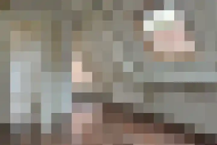 Nieuw Heiligland 15 Haarlem thumbnail 15