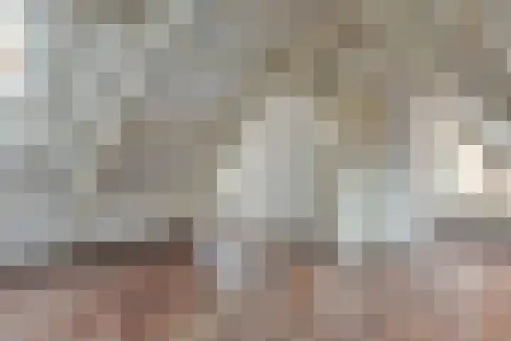Nieuw Heiligland 15 Haarlem thumbnail 16