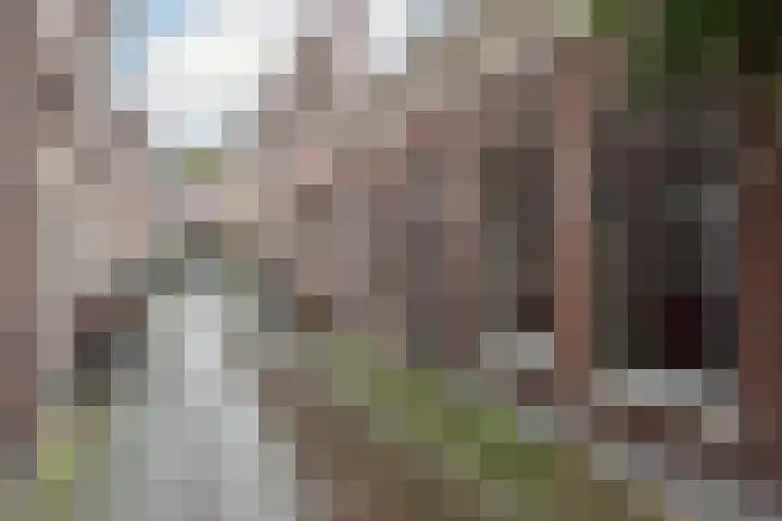 Nieuw Heiligland 15 Haarlem thumbnail 17