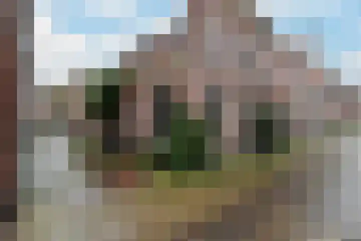 Nieuw Heiligland 15 Haarlem thumbnail 19