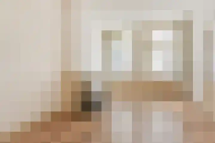 Nieuw Heiligland 15 Haarlem thumbnail 4