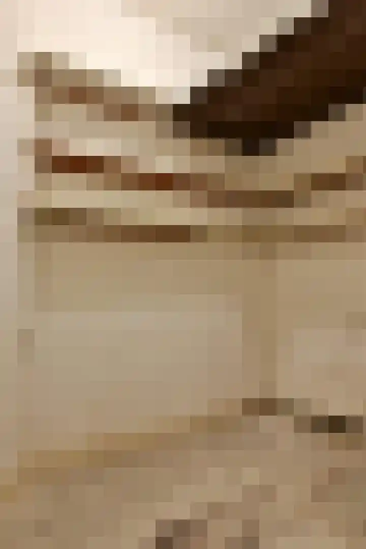 Nieuw Heiligland 15 Haarlem thumbnail 8