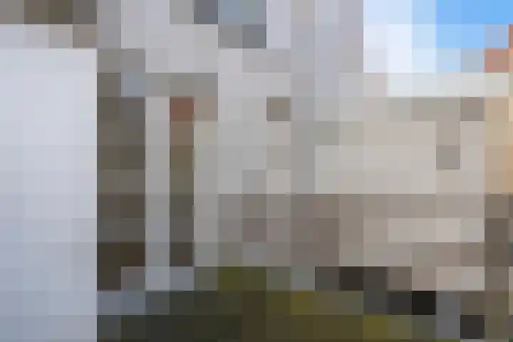 Nieuw Heiligland 5 B Haarlem thumbnail 18