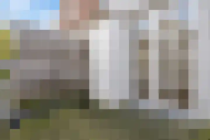 Nieuw Heiligland 5 B Haarlem thumbnail 19