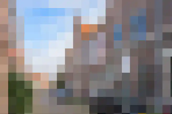Nieuw Heiligland 5 B Haarlem thumbnail 24