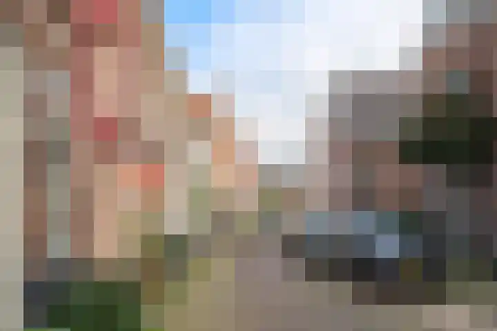 Nieuw Heiligland 5 B Haarlem thumbnail 25