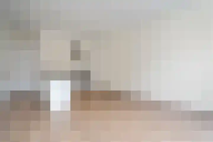 Nieuw Heiligland 5 B Haarlem thumbnail 4