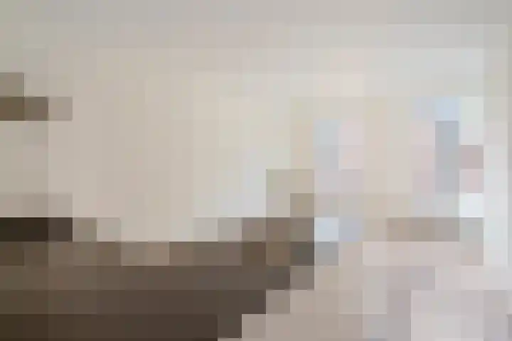 Nieuw Heiligland 5 B Haarlem thumbnail 6