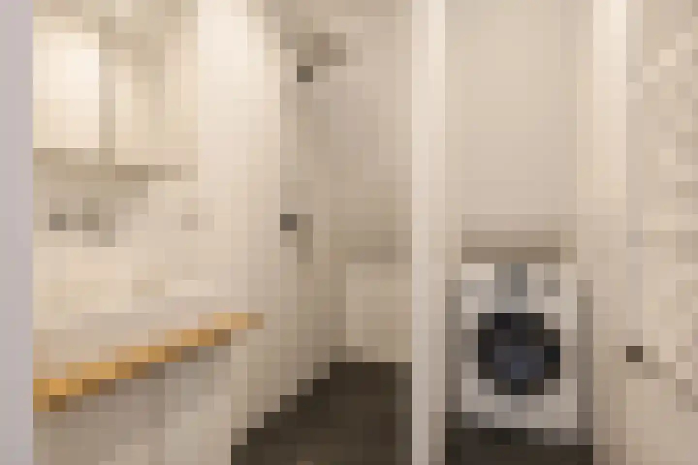 Nieuw Heiligland 5 D Haarlem thumbnail 11