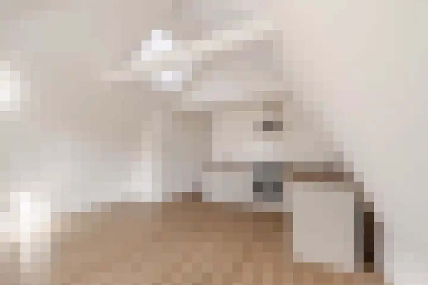 Nieuw Heiligland 5 D Haarlem thumbnail 9